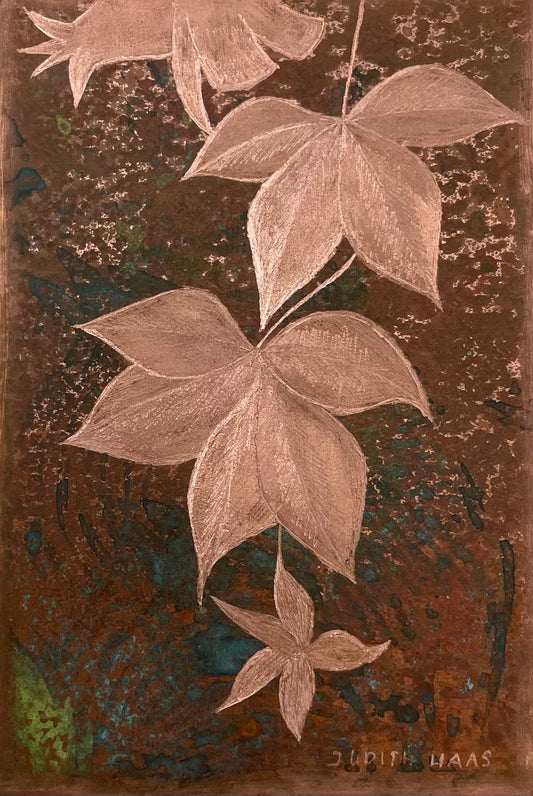 Copper Ivy