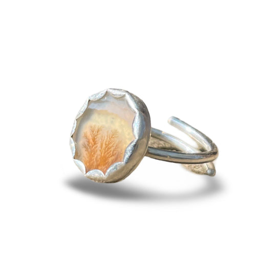 Coin Dendritic Agate Ring